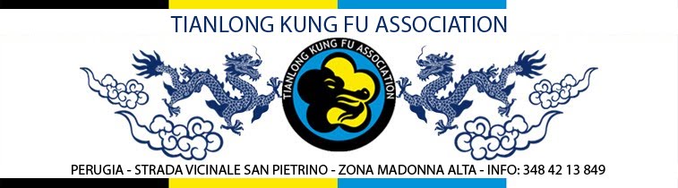 Tianlong Kung Fu Association
