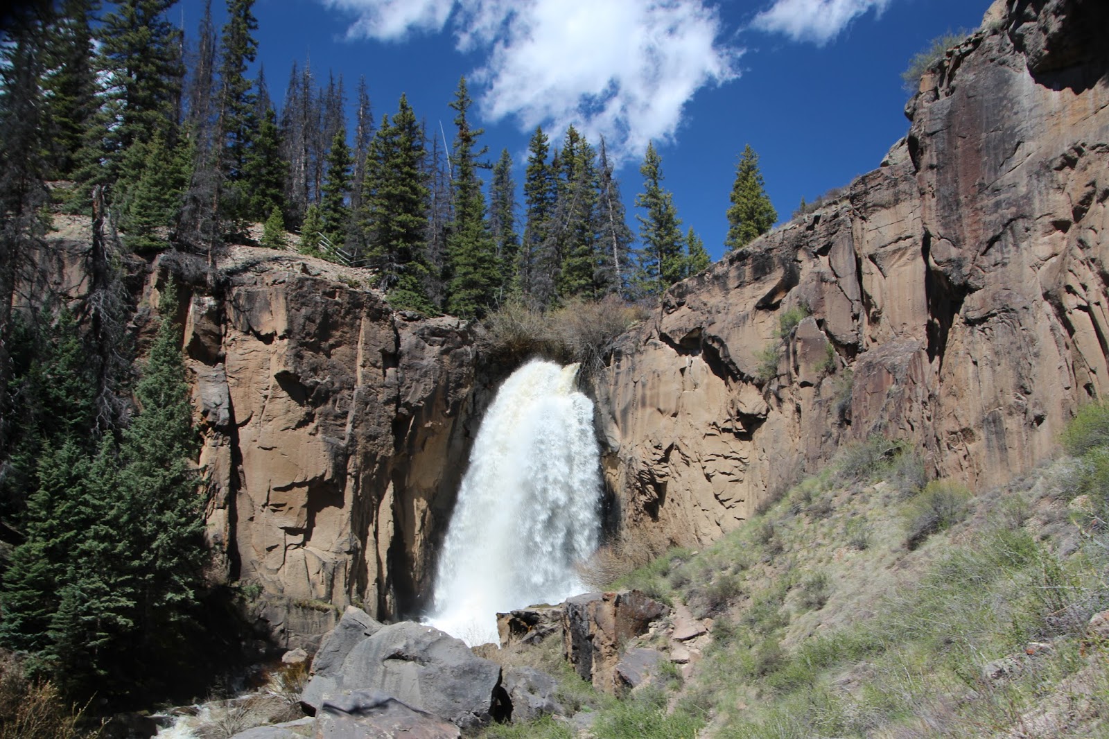 Yuki (and Brody's) RV Adventures Creede, Colorado