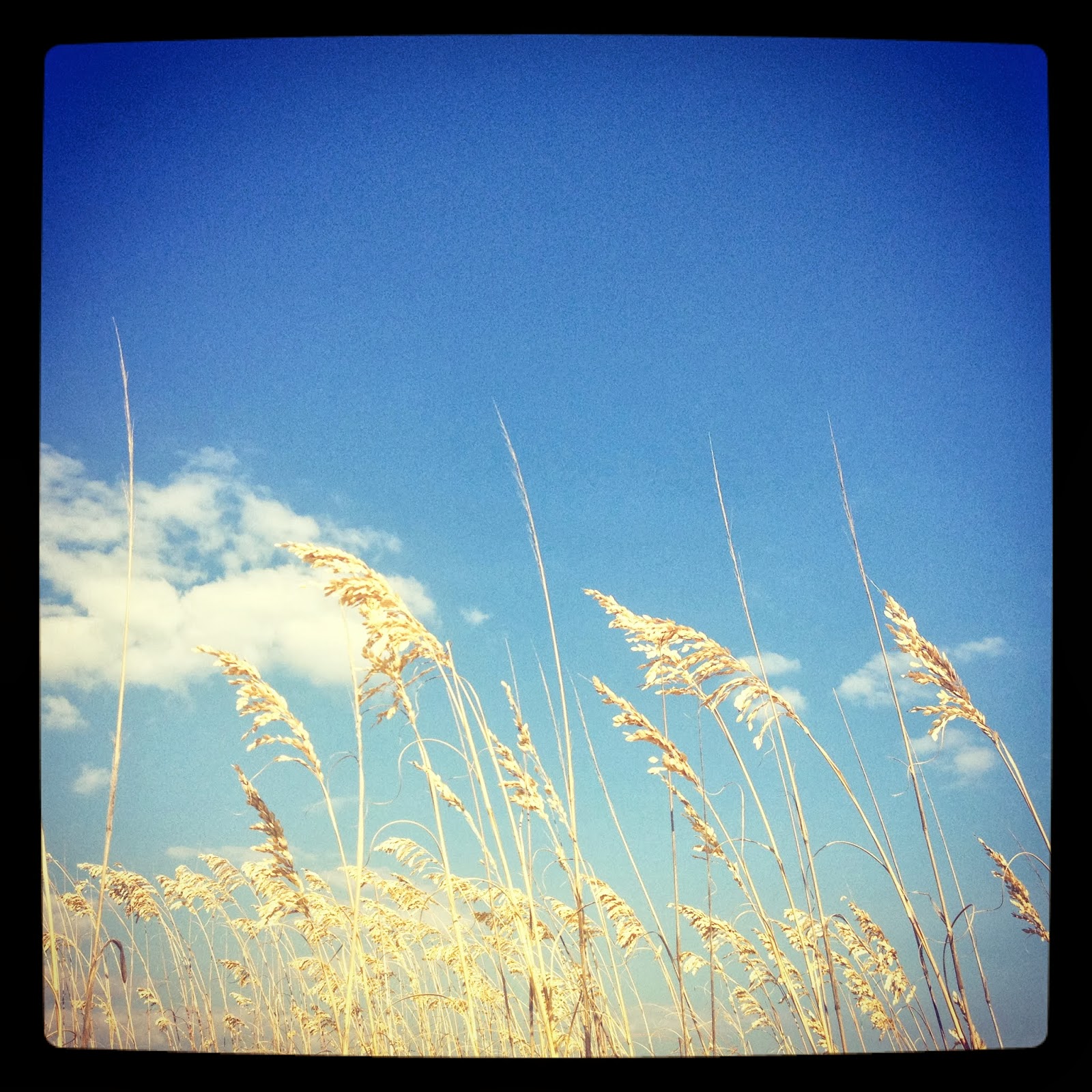 The Hunter and The Gatherer Little River and Bird Island Adventure