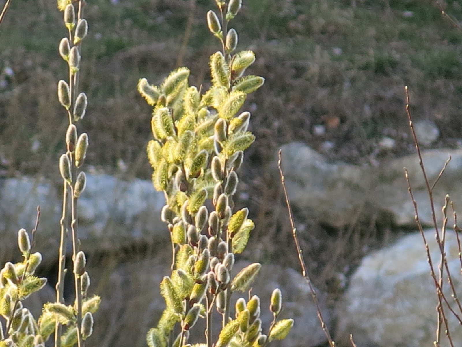 Verwendetsie Osterreich Ratgeber Magazin 2020