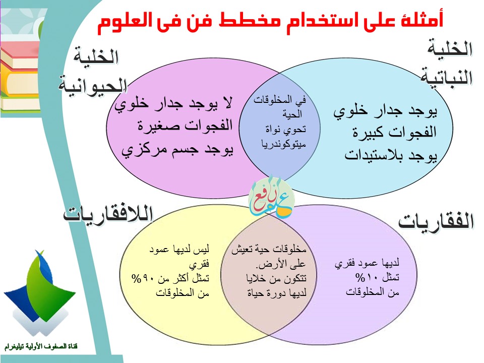 تختلف الخلايا النباتيه عن الخليه الحيوانيه