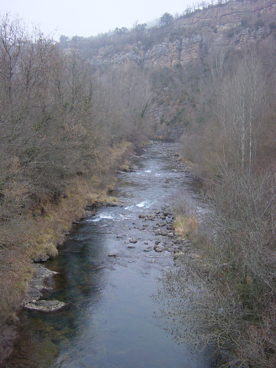 Periplo 231. Río Iregua al sur de Torrecilla de Cameros (La Rioja).