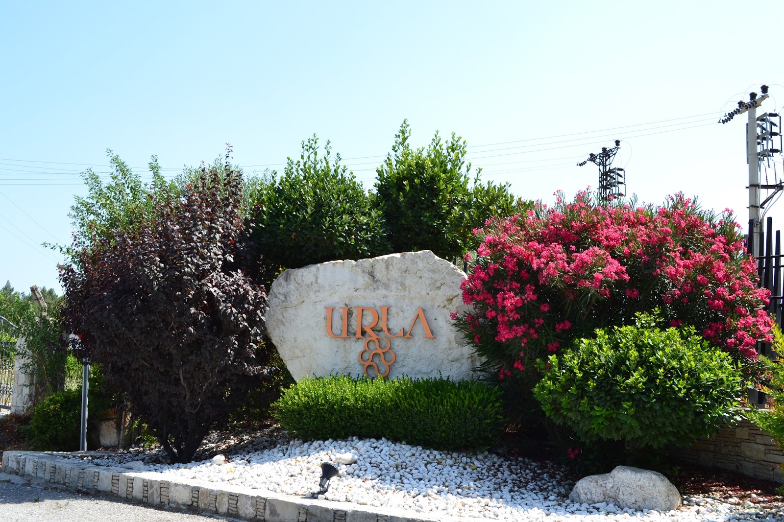 DOMİNO TŞLRI Şarabı sevmemiz, üzüme düşkünlüğümüzden değildi biz