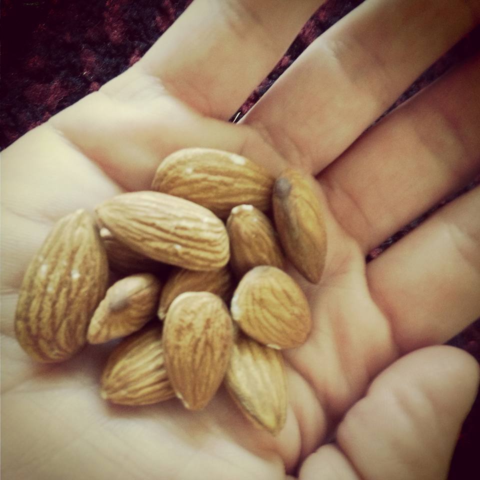 Finding Me! Almonds!