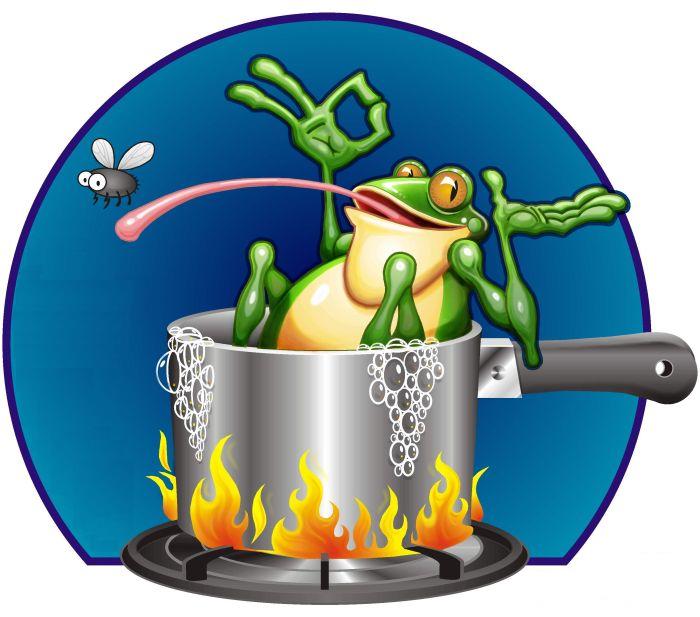 The Boiling Frog Story