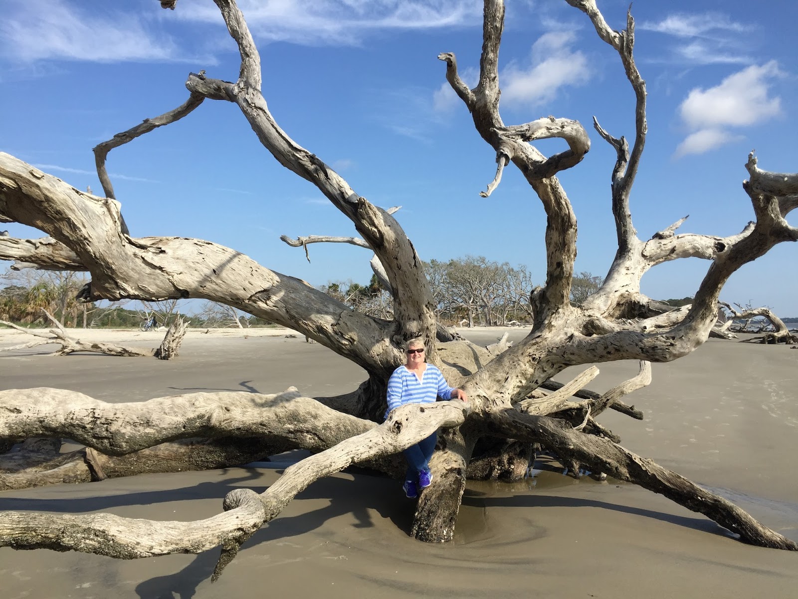 Janice's Travels Jekyll Island