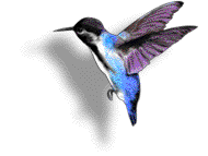 Gambar Animasi Burung Lucu Bergerak Kartun Terbaru 