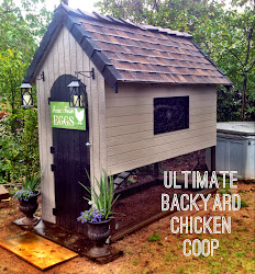chicken roosting silkie box coop above designs window keep shutters taken since added
