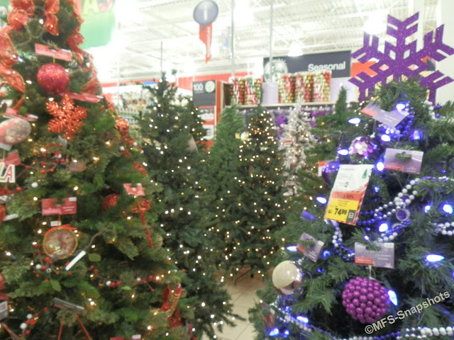 MFS - SNAPSHOTS: CHRISTMAS TIME IN STORES (26 Snapshots)