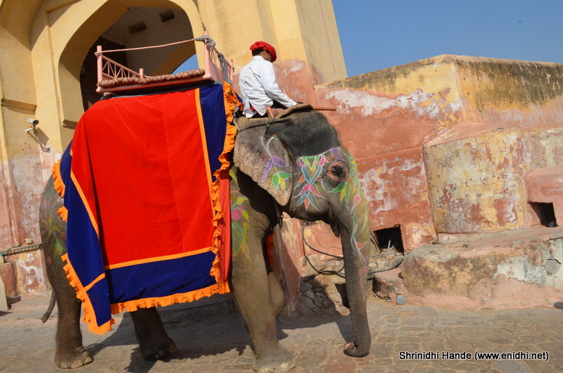 Elephant ride uphill to Amer Fort eNidhi India Travel Blog