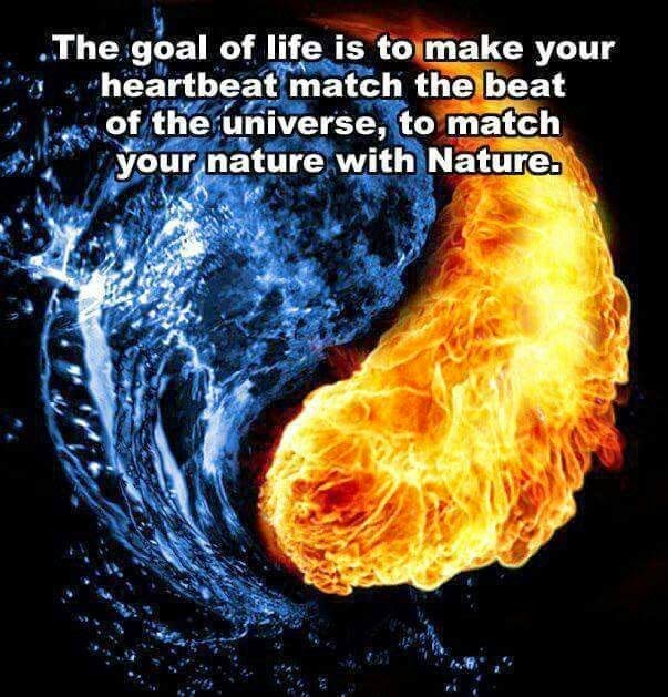 Match Your Nature With Nature Thoroughly Positive match-your-nature-with-nature-thoroughly-positive