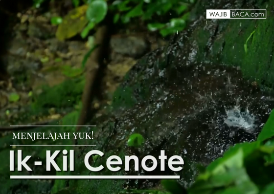 Dunia Punya Cerita! Inilah Sensasi Fenomena Lubang Ik-Kil Cenote Di Mexiko