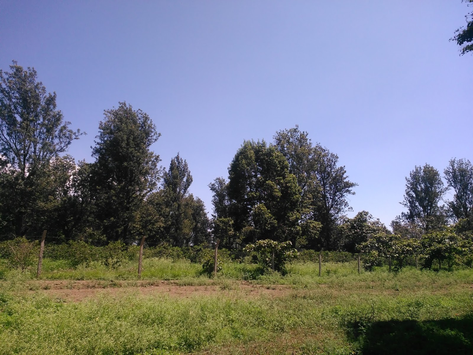 Rent house in Tanzania Arusha rent homes, Houses for sale,vacation