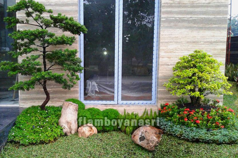 Jenis Tanaman Untuk Taman Depan Rumah Jenis Tanaman Untuk Taman Depan Rumah