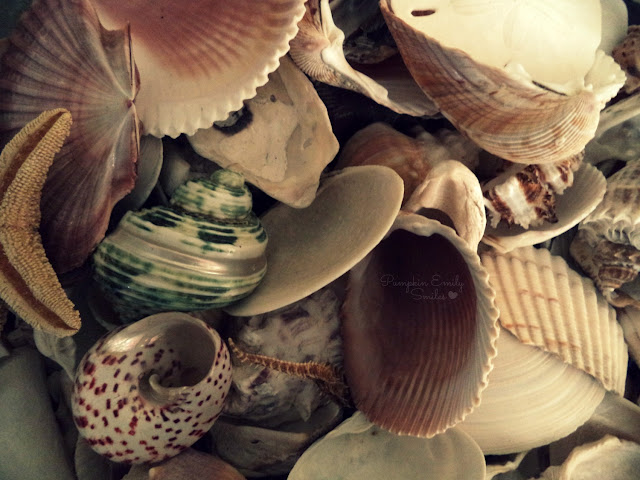 Shells