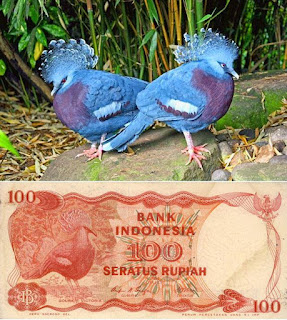 Burung di uang nominal 100 objek gambar uang
