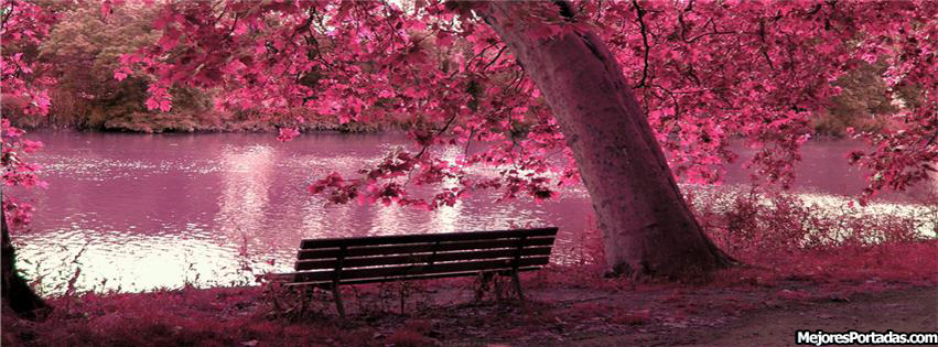 Imágenes color rosa para FaceBook - Imagui