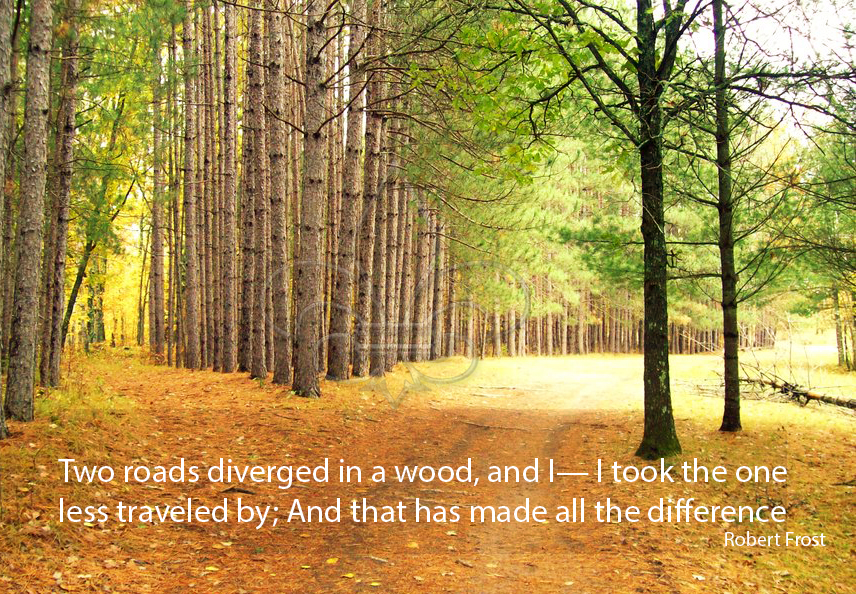 two roads in a yellow wood +Robert+Frost