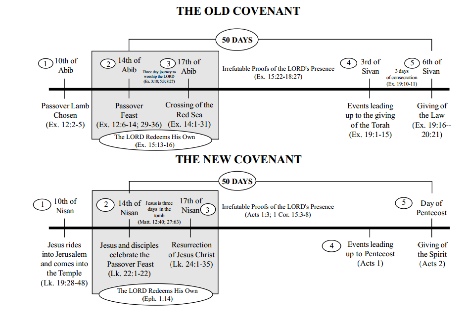 Daily Truthbase: Acts 1-3 The First Church of Jerusalem