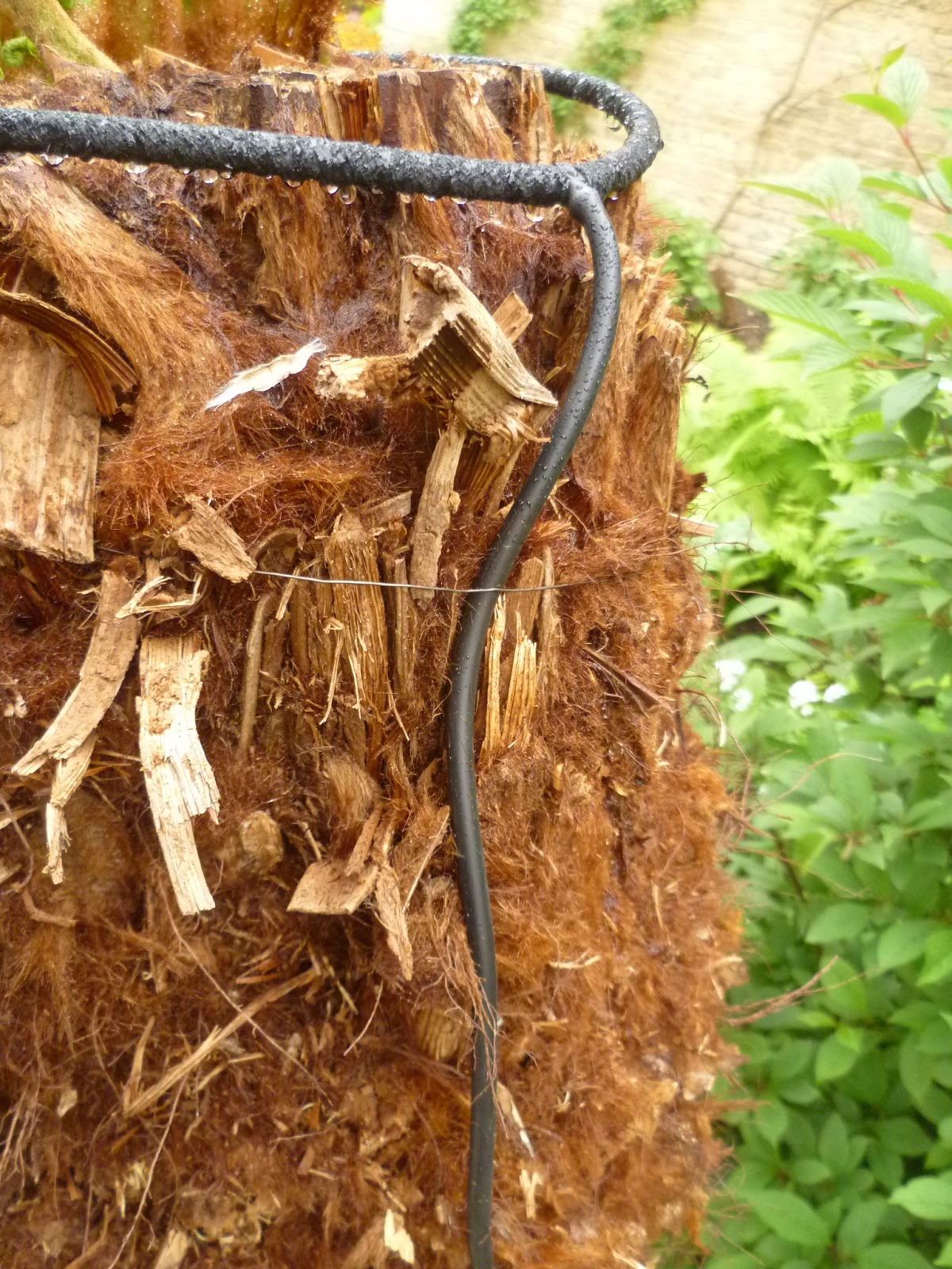 Worcester College Gardeners 20092018 A New Irrigation System For The