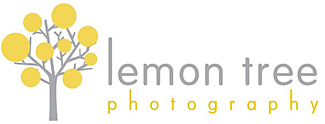 lemon tree photography