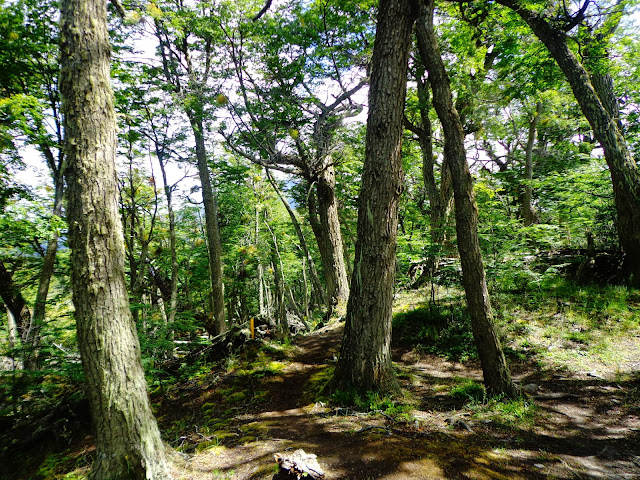 ushuaia parque nacional tierra del fuego trilhas