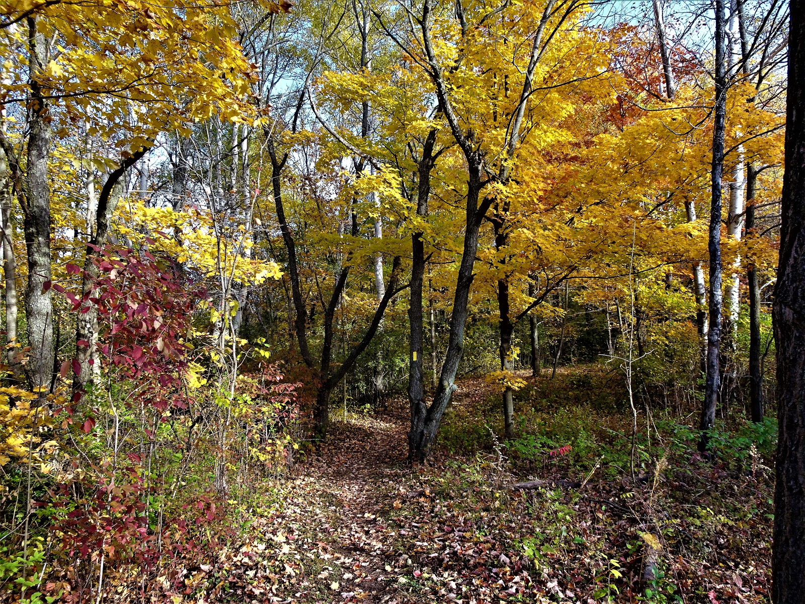 Mama's Basecamp Hiking the Ice Age Trail through Washington County