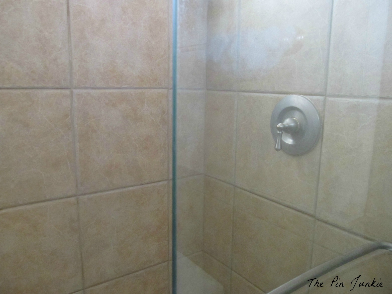 Adding RainX to your shower door to keep it clean? Yes please