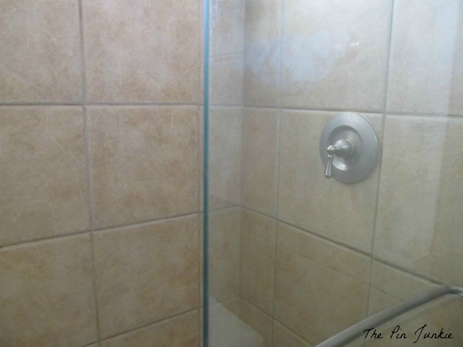 Clean Glass Shower Doors with Vinegar & Dawn