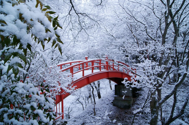 Risultati immagini per ponte con neve