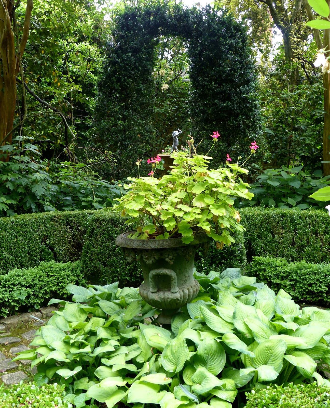 Upright Boxwood Varieties