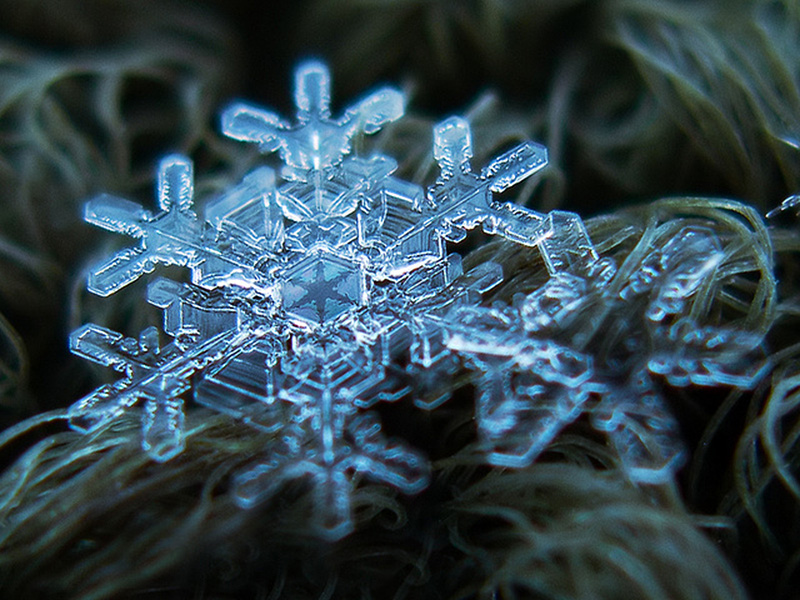 close up photos of snowflakes