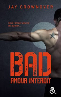 http://lachroniquedespassions.blogspot.fr/2015/12/bad-amour-interdit-jay-crownover.html