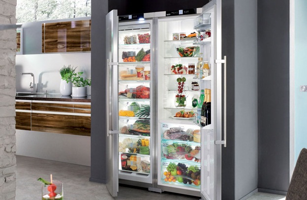 Best Refrigerators In India