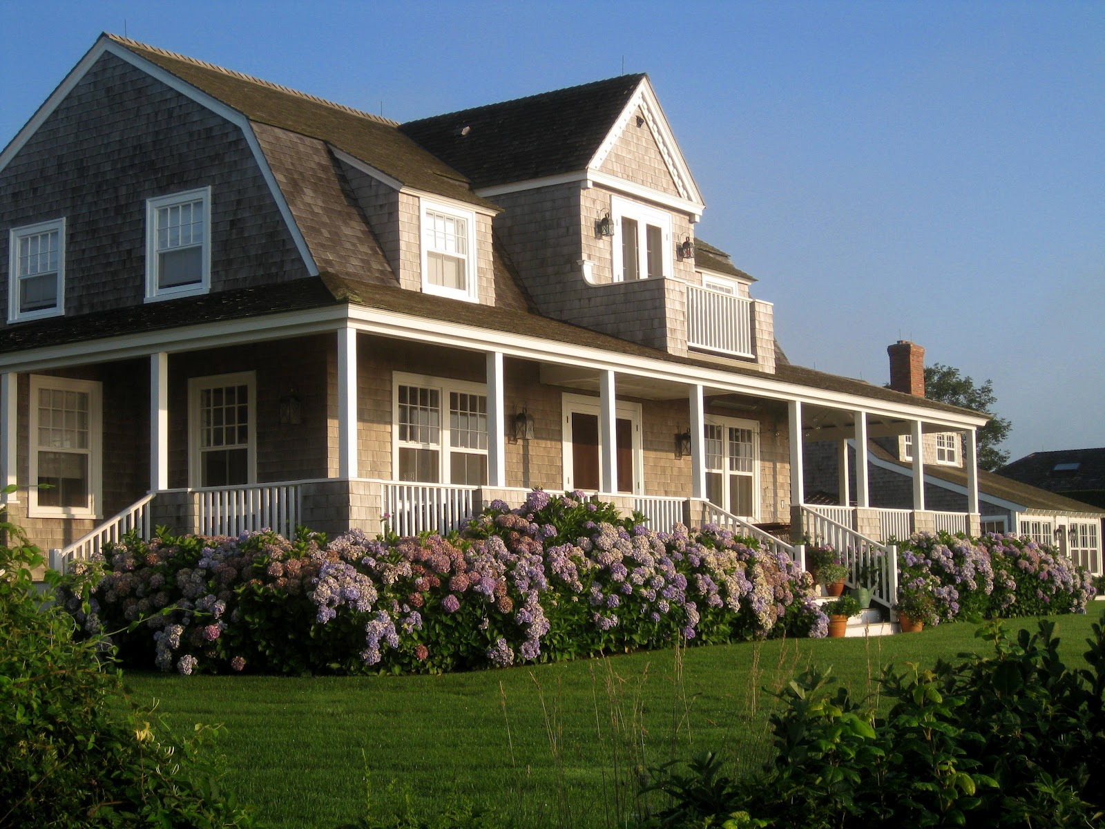 There Once Was a Boy Obsessed with Nantucket... Hydrangeas Cape Cod