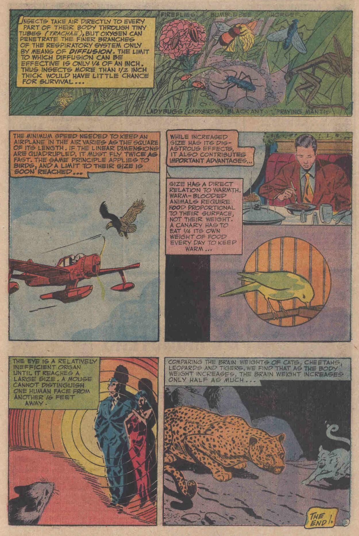 The Flash (1959) issue 216 - Page 20