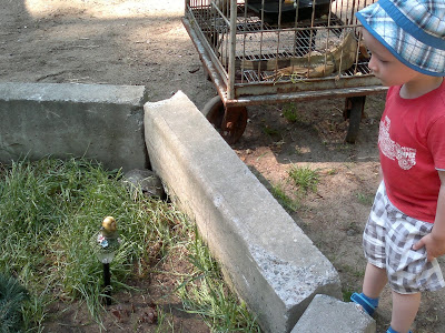 03062013735.jpg