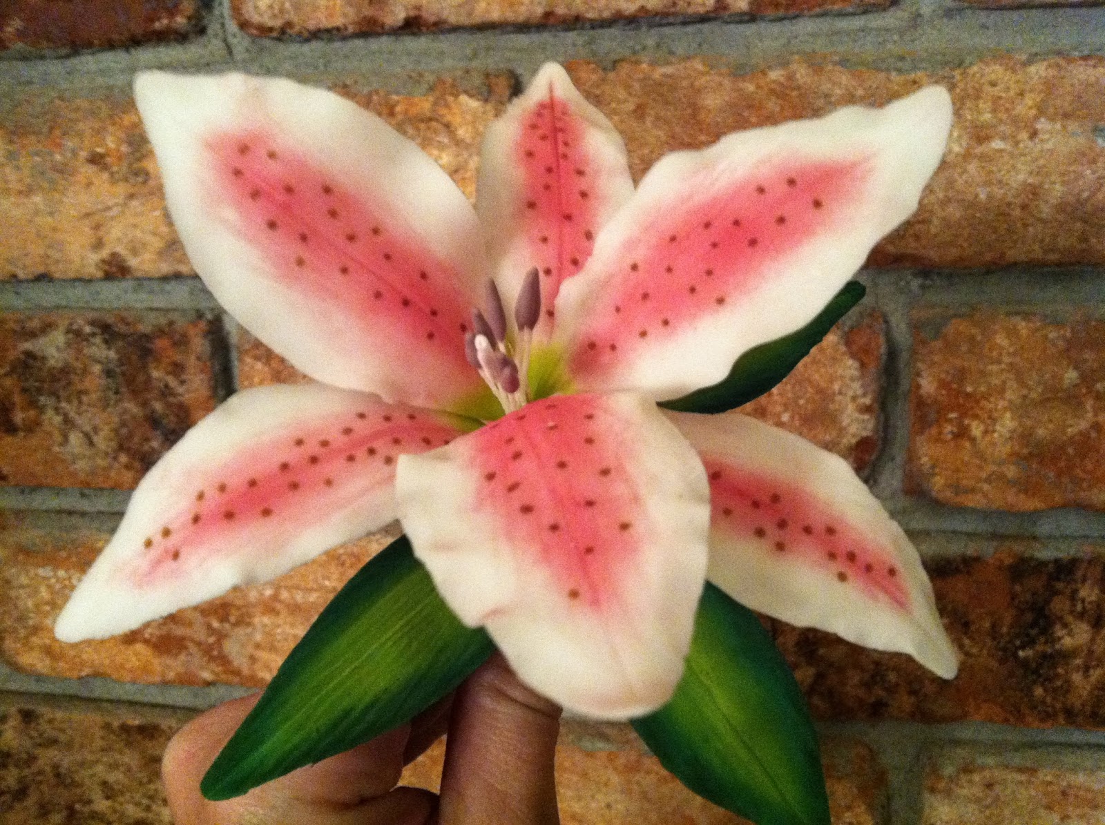 The Iced Queen Stargazer Lily from Wilton Course 4