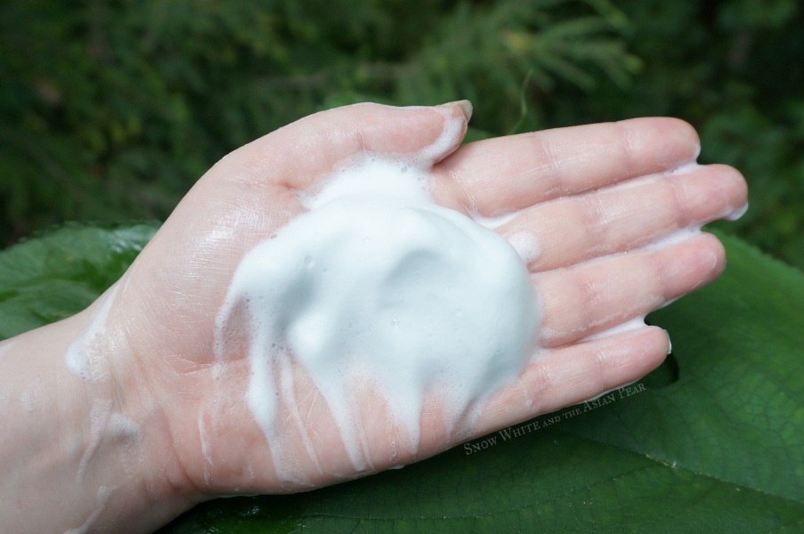sulwhasoo snowise brightening cleansing foam