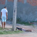 Homem é encontrado morto, em Ipirá