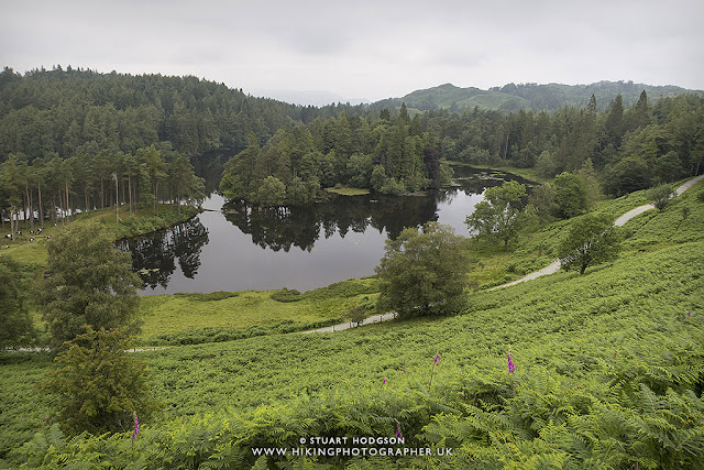 Tarn hows, best, walk, route, map, Lake District, lakes, Beatrix Potter, national trust, Glen Mary Tarn hows, best, walk, route, map, Lake District, lakes, Beatrix Potter, national trust, Glen Mary