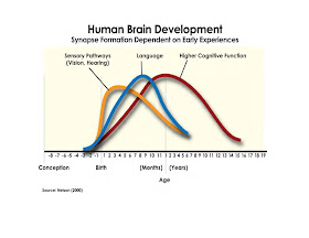 Development of Empathy - An Essential Life Skill!  - https://braininsights.blogspot.com/