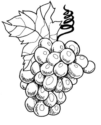Desenhos de Frutas