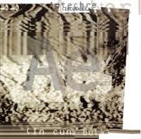 A picture of Autechre's first album Incunabula