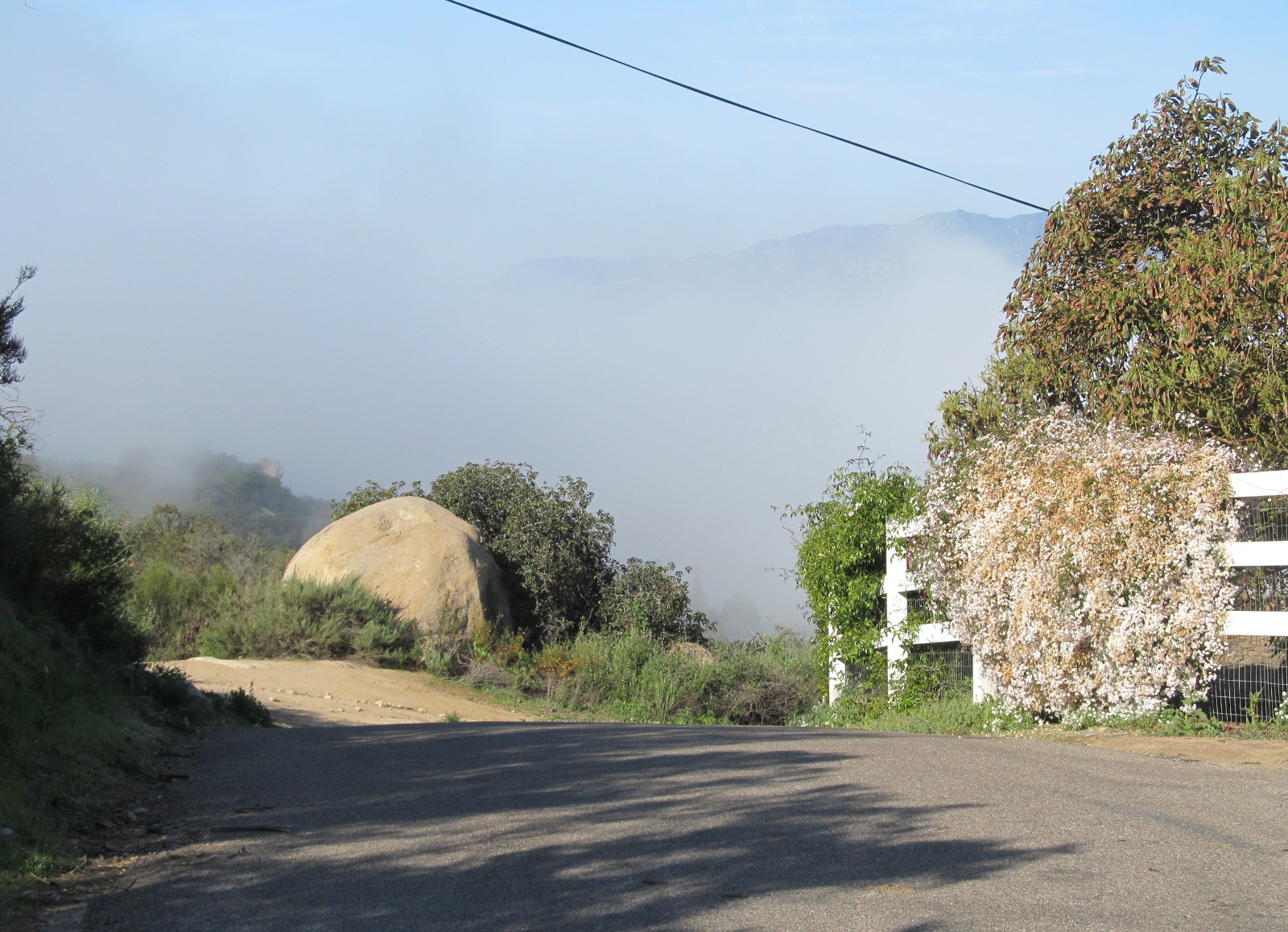 A ride through the enchanted forest of Fallbrook, De Luz