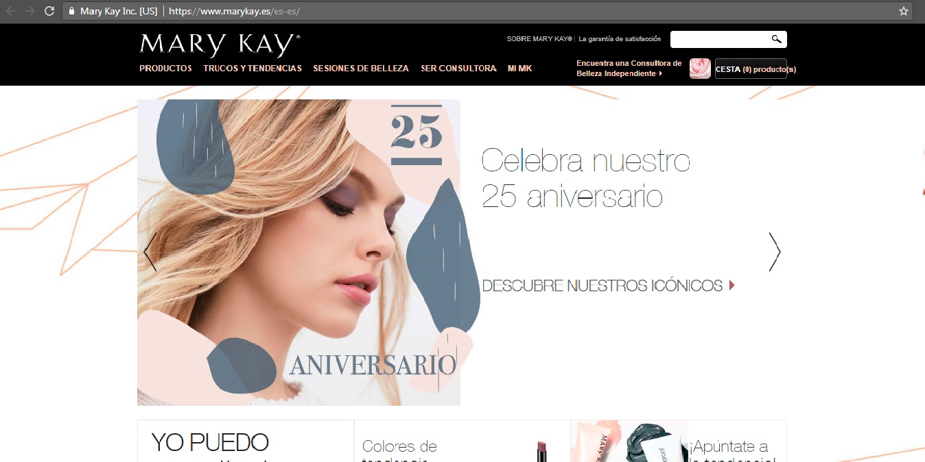 Creadora de Sueños Mary Kay La identidad visual de la organización