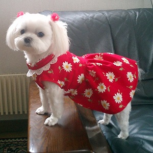 She is
                        Georgeous