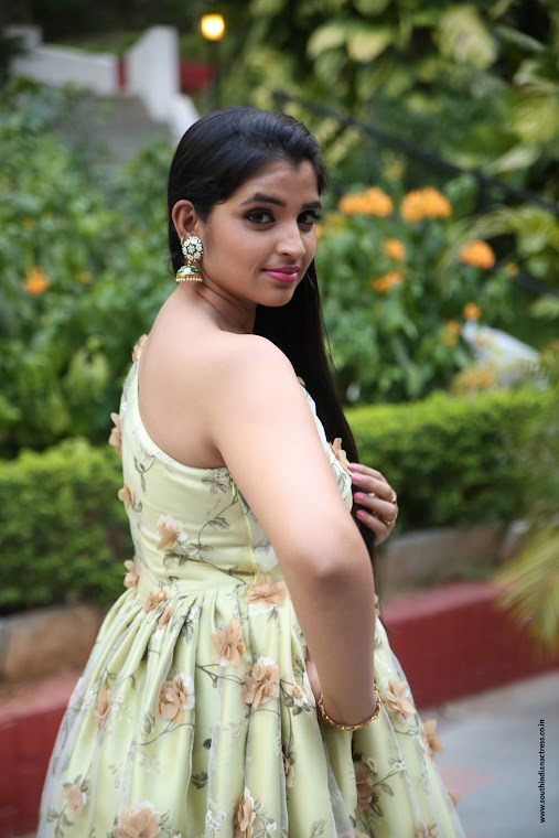 Anchor Shyamala at Naa Peru Surya success meet