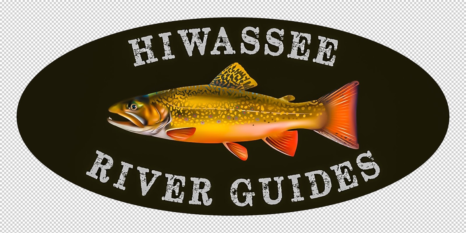 Hiwassee River Guides 3/24/19 3/31/19