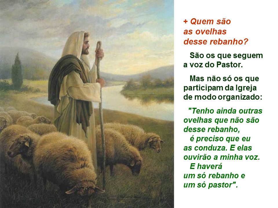 O bom pastor dá a vida por suas ovelhas - Paroquia de Casa Forte